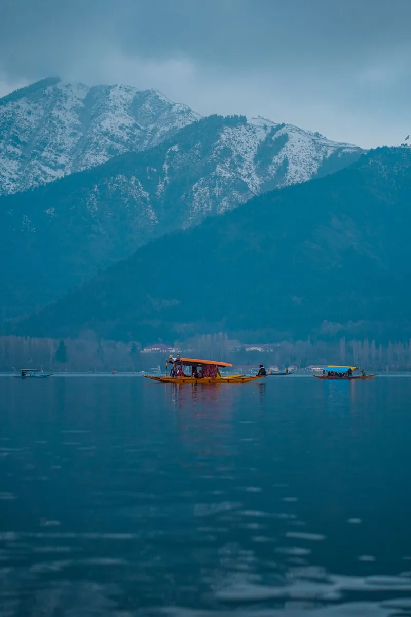 Shikara boats on Dal Lake, Kashmir